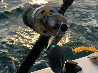 Top 10 Lever Drag Conventional Reels - TackleDirect Top 10 Lever Drag Conventional Reels - TackleDirect