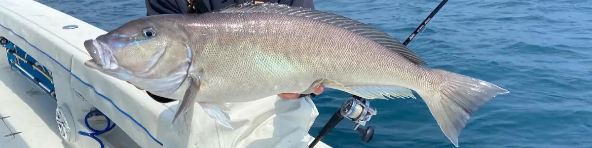 Top 5 Non Electric Tilefishing Reels - TackleDirect