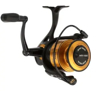 Top 5 Reels & Rods for Targeting Striped Bass in the Surf - TackleDirect