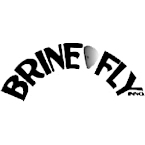 Shop Brinefly Innovations