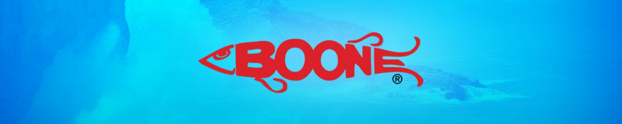Shop Boone
