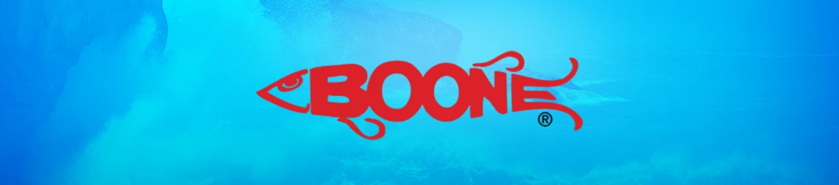 Shop Boone