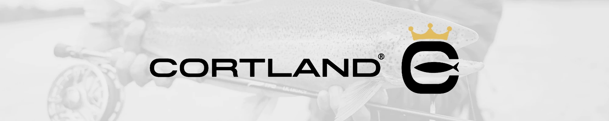 Shop Cortland