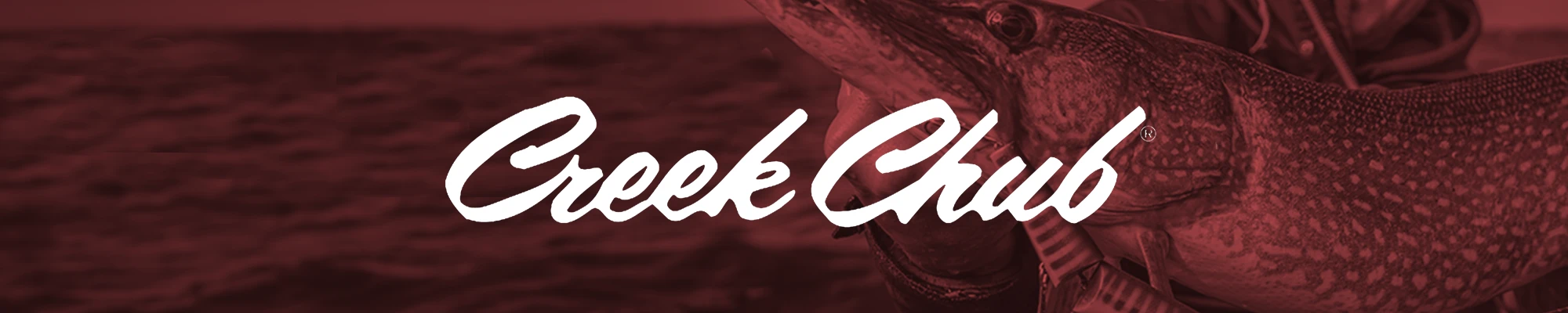 Shop Creek Chub