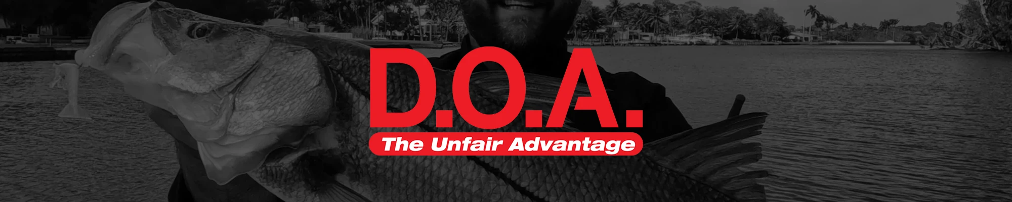 Shop DOA