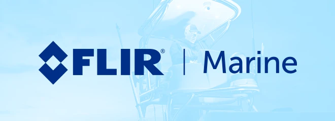 Shop Flir Electronics