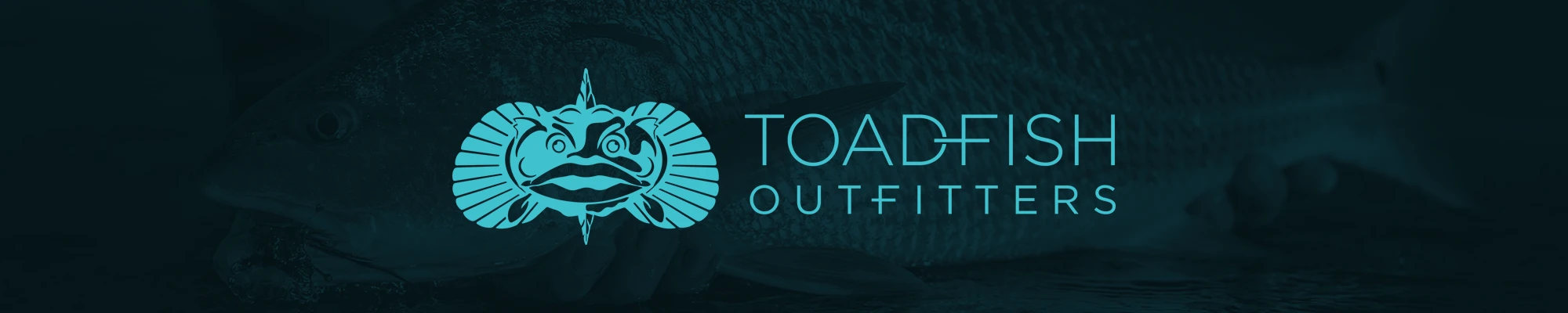 Shop Toadfish