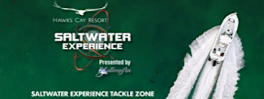 Saltwater Experience