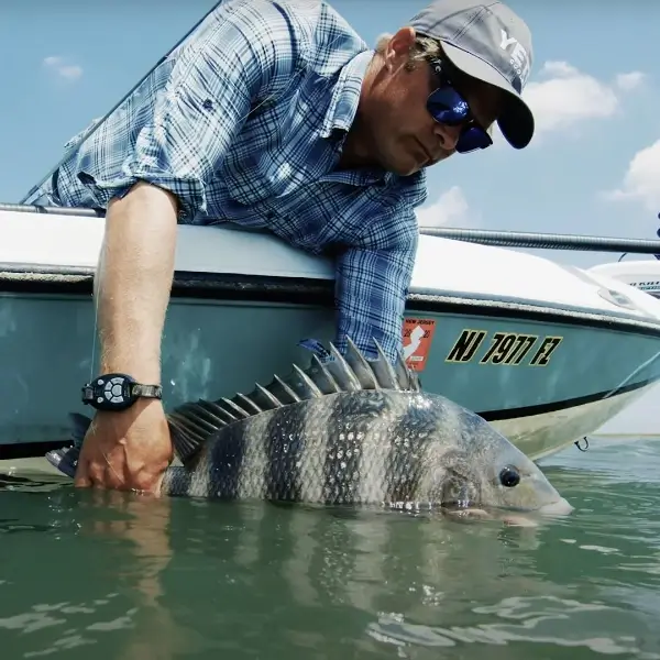 Dan Schafer holding a fish over the side of a boat