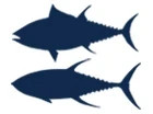 All Tuna
