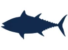 Blackfin Tuna