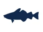 Groundfish