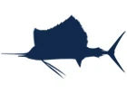 Sailfish