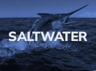 Saltwater