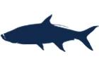 Tarpon