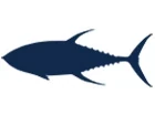 Yellowfin Tuna