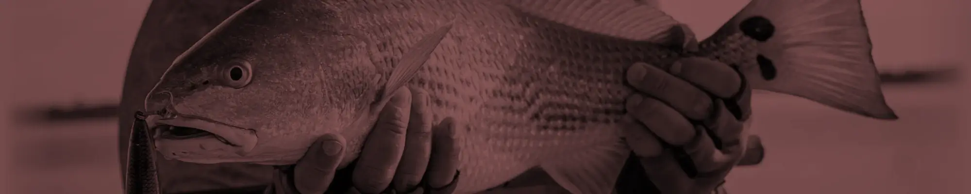 Redfish Essential Gear