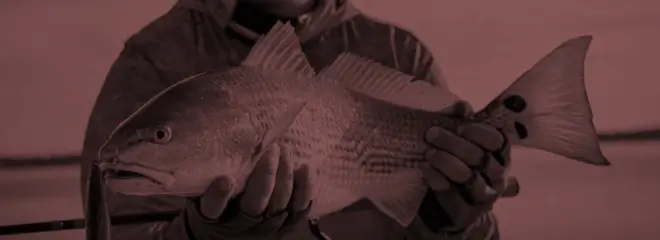 Redfish Essential Gear