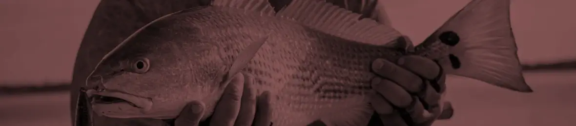 Redfish Essential Gear