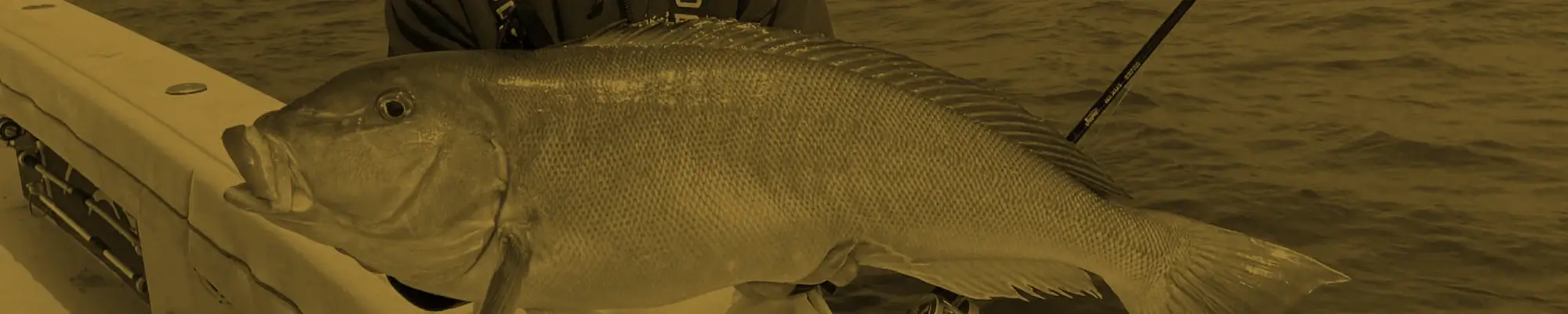 Tilefish Deep Dropping Gear