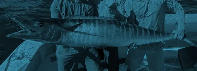 Wahoo Essential Gear